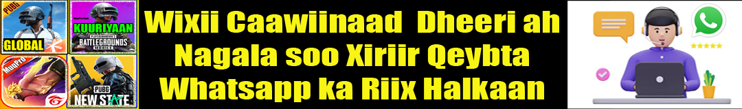 halkaan wax ka baro bal